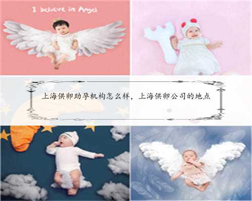 上海供卵助孕机构怎么样，上海供卵公司的地点