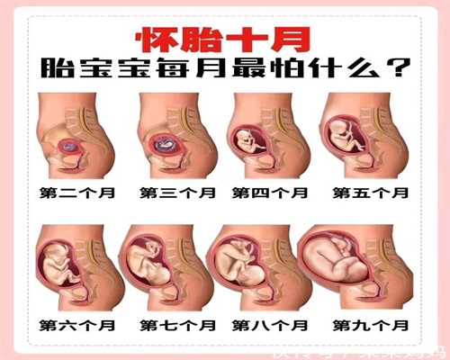 上海借腹生子如何办出生证,会让胎儿畸形的食物