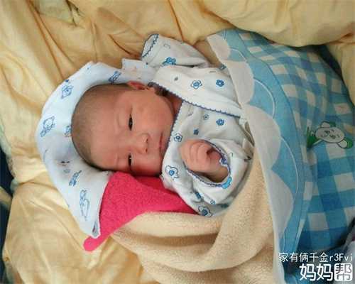 上海高鹰代孕费用问题,上海如何找正规代孕的女生呢一岁代孕宝宝补蛋白质食