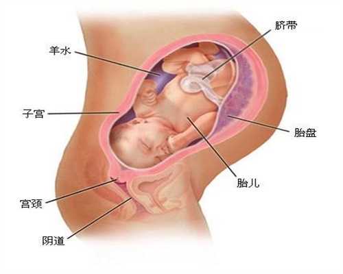 广州借卵助孕价格,广州借卵价格，泰国做捐卵试管婴儿要多少钱？