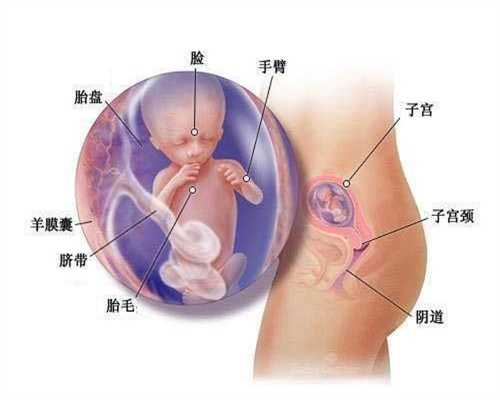 上海试管婴儿能选择性别，为什么现在人们都喜欢前往柬埔寨做试管生孩子？