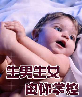 上海供卵助孕方案，上海试管助孕成功率多少？