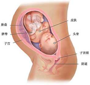 哪有上海代怀孕公司，上海哪些情况可以生二胎