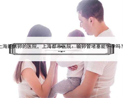 上海能供卵的医院，上海都市医院：输卵管堵塞能怀孕吗？